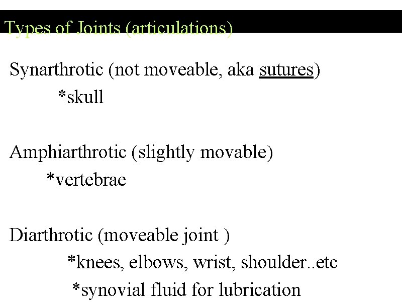 Types of Joints (articulations) Synarthrotic (not moveable, aka sutures) *skull Amphiarthrotic (slightly movable) *vertebrae