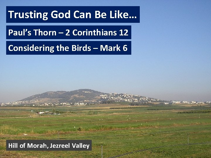 Trusting God Can Be Like… Paul’s Thorn – 2 Corinthians 12 Considering the Birds