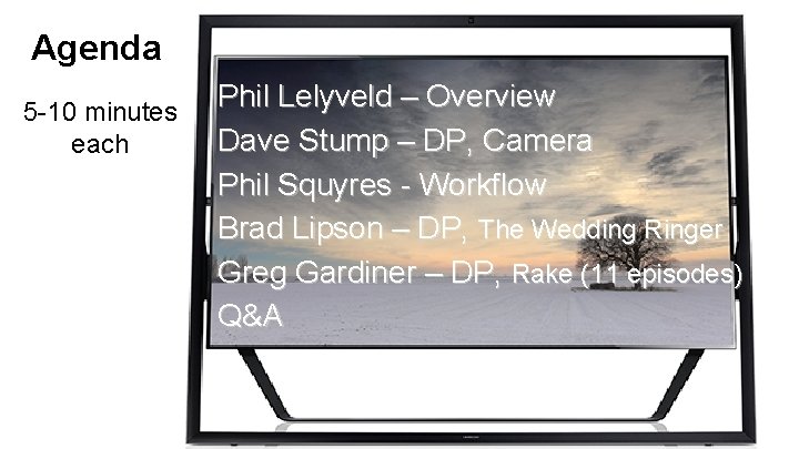 Agenda 5 -10 minutes each Phil Lelyveld – Overview Dave Stump – DP, Camera
