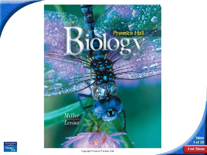 Biology Slide 1 of 20 Copyright Pearson Prentice Hall End Show 