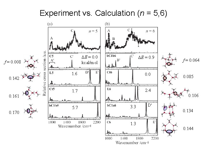 Experiment vs. Calculation (n = 5, 6) DE = 0. 0 kcal/mol f =