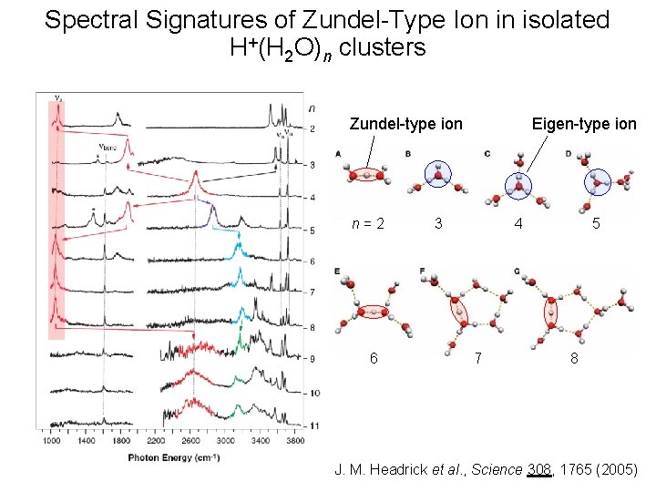 Spectral Signatures of Zundel-Type Ion in isolated H+(H 2 O)n clusters Eigen-type ion Zundel-type