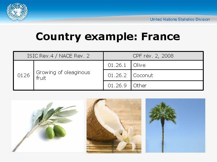 Country example: France ISIC Rev. 4 / NACE Rev. 2 0126 Growing of oleaginous Country example: France ISIC Rev. 4 / NACE Rev. 2 0126 Growing of oleaginous