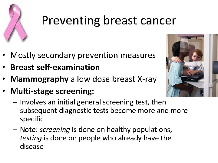 Preventing breast cancer • • Mostly secondary prevention measures Breast self-examination Mammography a low