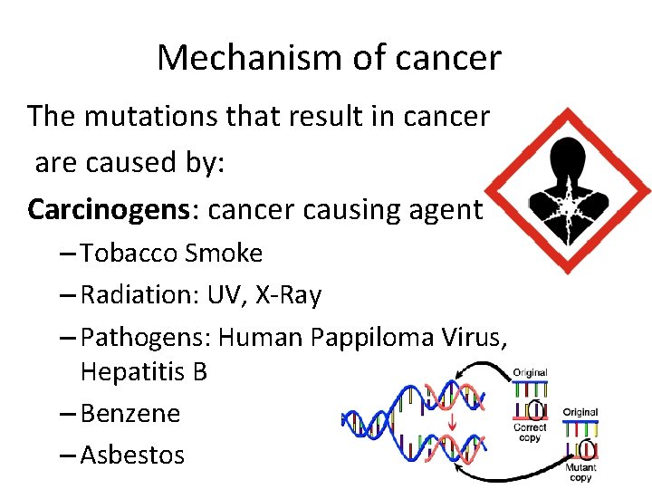 Mechanism of cancer The mutations that result in cancer are caused by: Carcinogens: cancer