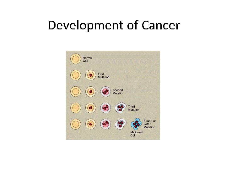 Development of Cancer 