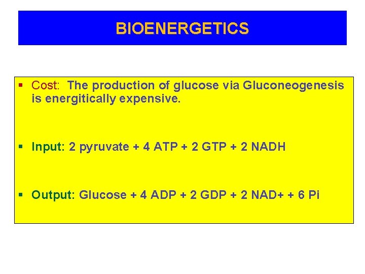 BIOENERGETICS § Cost: The production of glucose via Gluconeogenesis is energitically expensive. § Input: