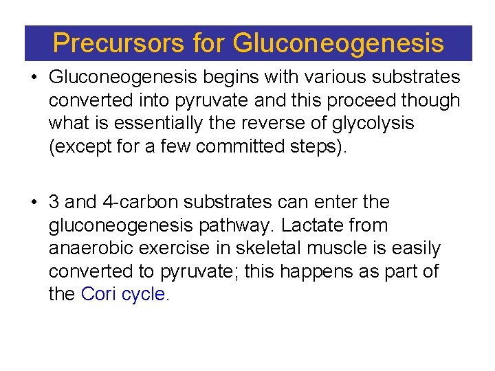 Precursors for Gluconeogenesis • Gluconeogenesis begins with various substrates converted into pyruvate and this