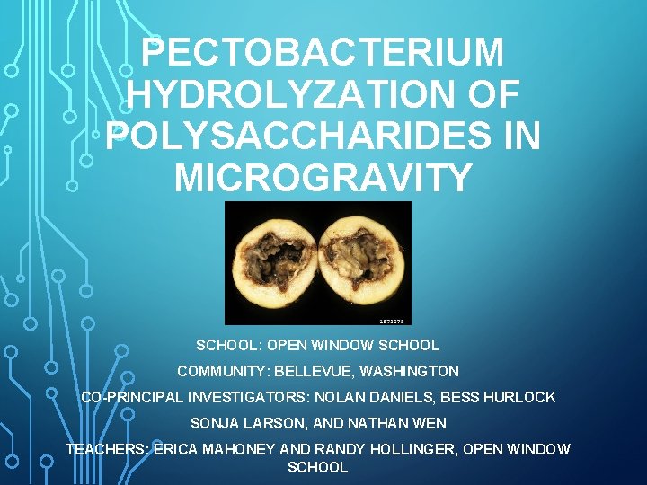 PECTOBACTERIUM HYDROLYZATION OF POLYSACCHARIDES IN MICROGRAVITY SCHOOL: OPEN WINDOW SCHOOL COMMUNITY: BELLEVUE, WASHINGTON CO-PRINCIPAL