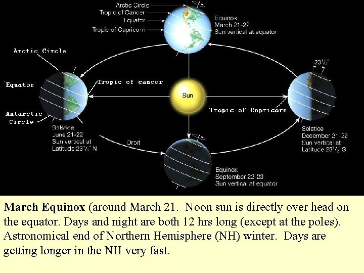 March Equinox (around March 21. Noon sun is directly over head on the equator.