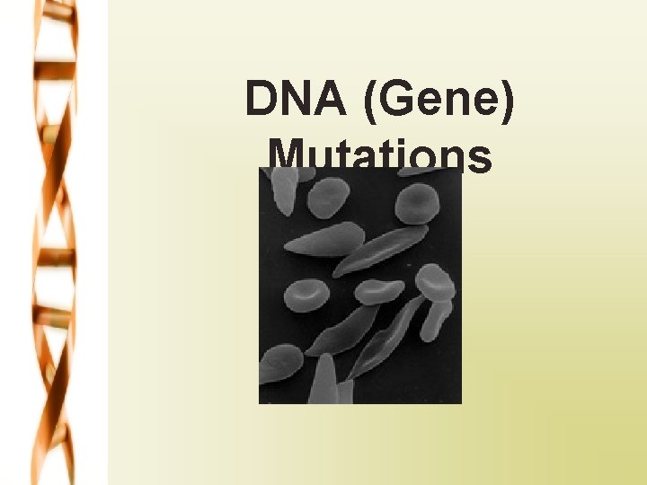 DNA (Gene) Mutations 