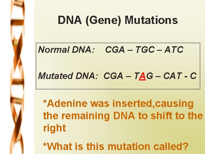 DNA (Gene) Mutations Normal DNA: CGA – TGC – ATC Mutated DNA: CGA –