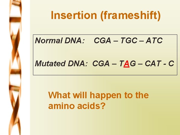 Insertion (frameshift) Normal DNA: CGA – TGC – ATC Mutated DNA: CGA – TAG