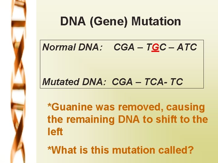 DNA (Gene) Mutation Normal DNA: CGA – TGC – ATC Mutated DNA: CGA –