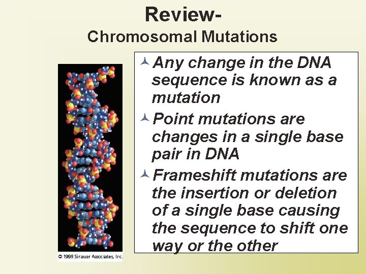 Review. Chromosomal Mutations ©Any change in the DNA sequence is known as a mutation