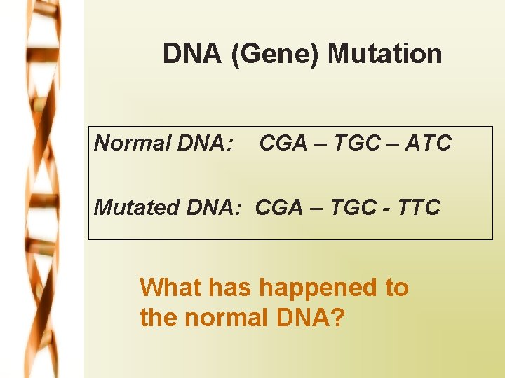 DNA (Gene) Mutation Normal DNA: CGA – TGC – ATC Mutated DNA: CGA –