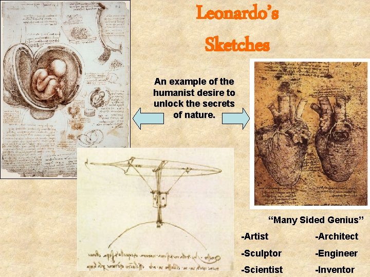 Leonardo’s Sketches An example of the humanist desire to unlock the secrets of nature.