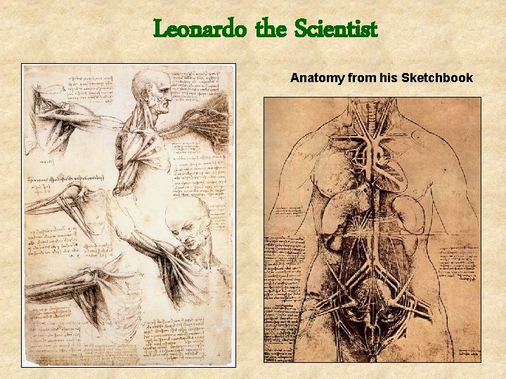 Leonardo the Scientist Anatomy from his Sketchbook 