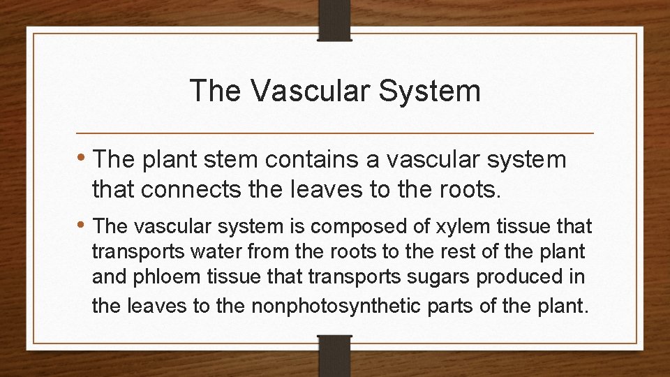 The Vascular System • The plant stem contains a vascular system that connects the