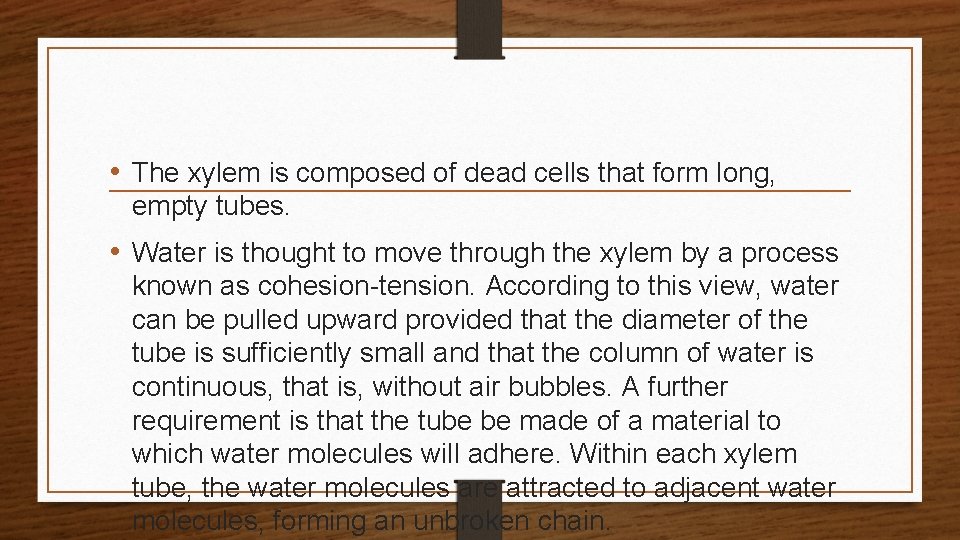  • The xylem is composed of dead cells that form long, empty tubes.