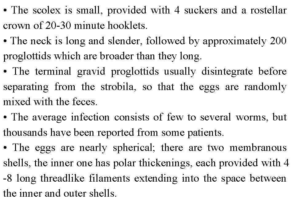  • The scolex is small, provided with 4 suckers and a rostellar crown