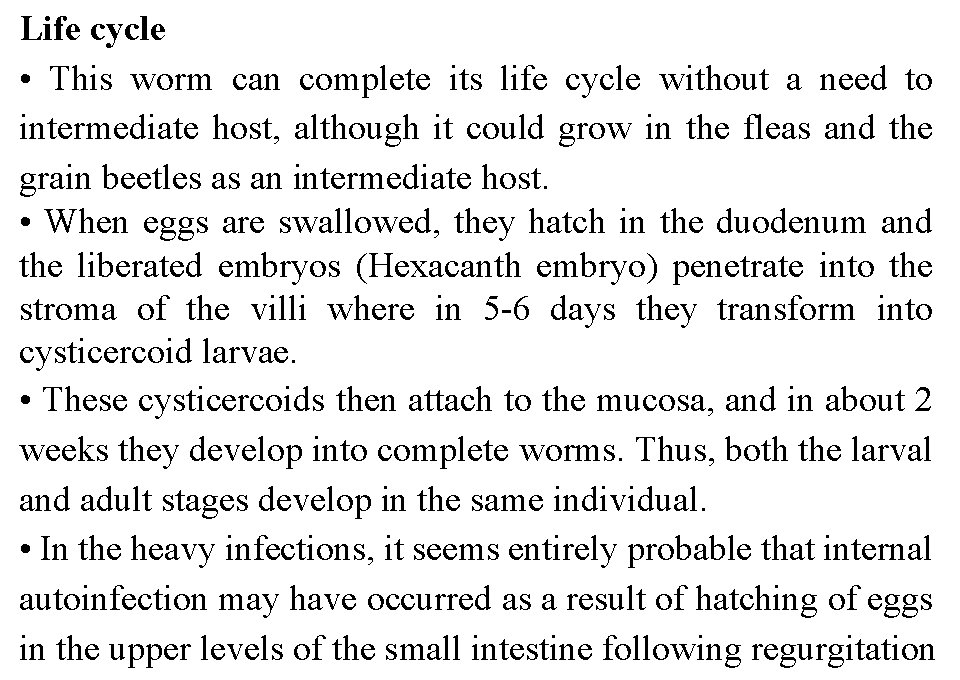 Life cycle • This worm can complete its life cycle without a need to