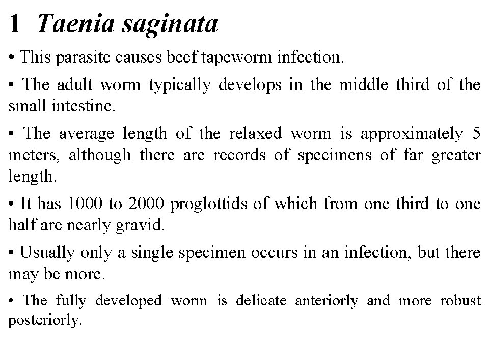 1 Taenia saginata • This parasite causes beef tapeworm infection. • The adult worm