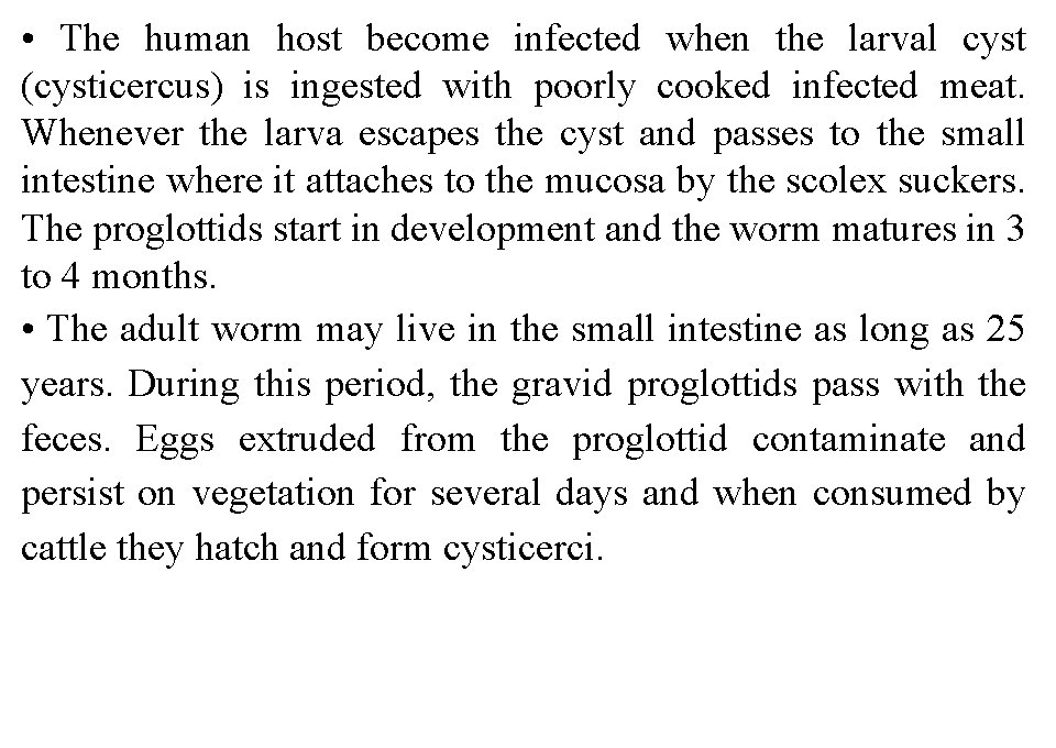  • The human host become infected when the larval cyst (cysticercus) is ingested