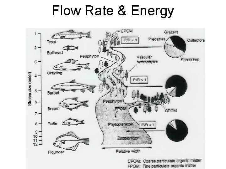 Flow Rate & Energy 