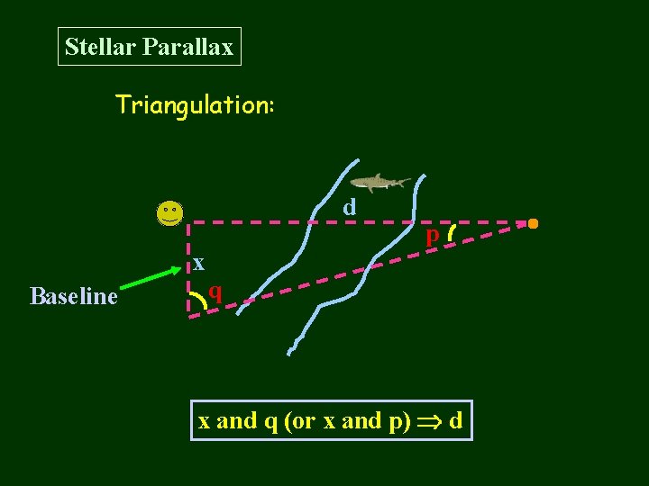 Stellar Parallax Triangulation: d p x Baseline q x and q (or x and