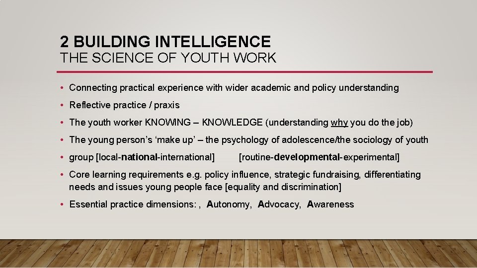 2 BUILDING INTELLIGENCE THE SCIENCE OF YOUTH WORK • Connecting practical experience with wider