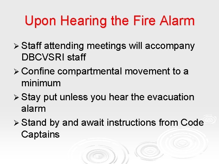 Upon Hearing the Fire Alarm Ø Staff attending meetings will accompany DBCVSRI staff Ø