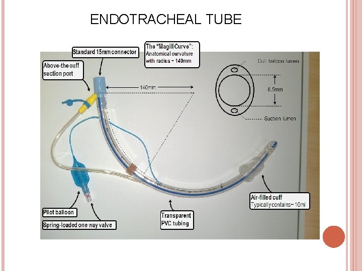 ENDOTRACHEAL TUBE 