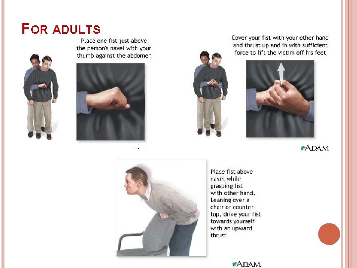 FOR ADULTS 