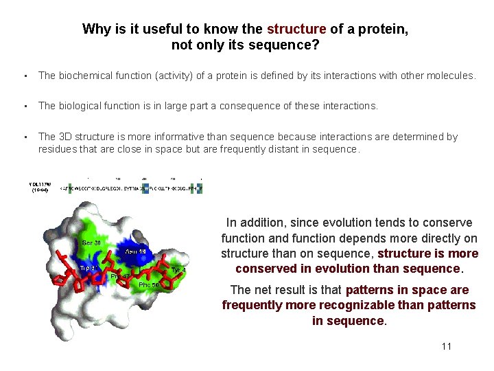 Why is it useful to know the structure of a protein, not only its