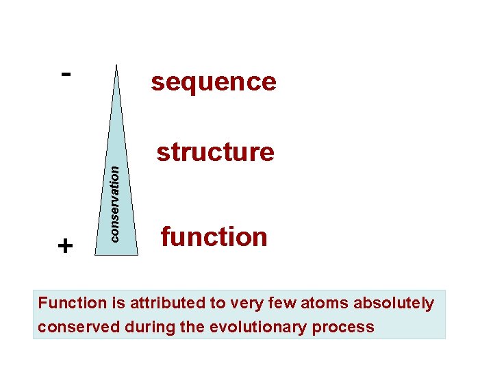 - sequence + conservation structure function Function is attributed to very few atoms absolutely