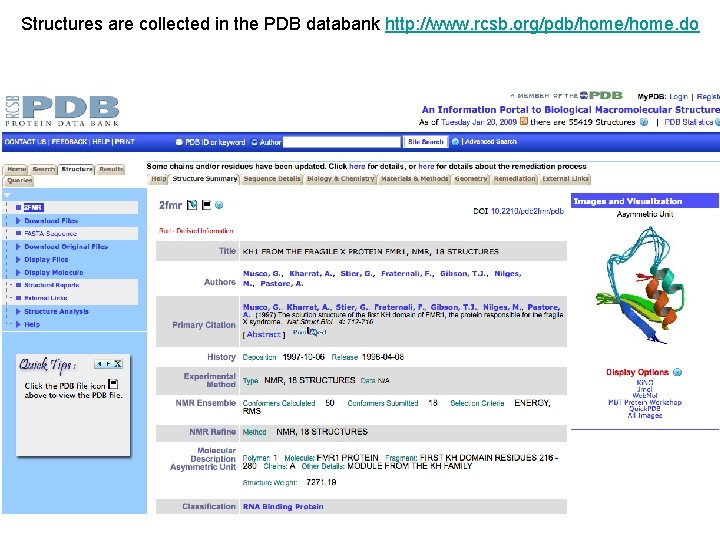 Structures are collected in the PDB databank http: //www. rcsb. org/pdb/home. do 