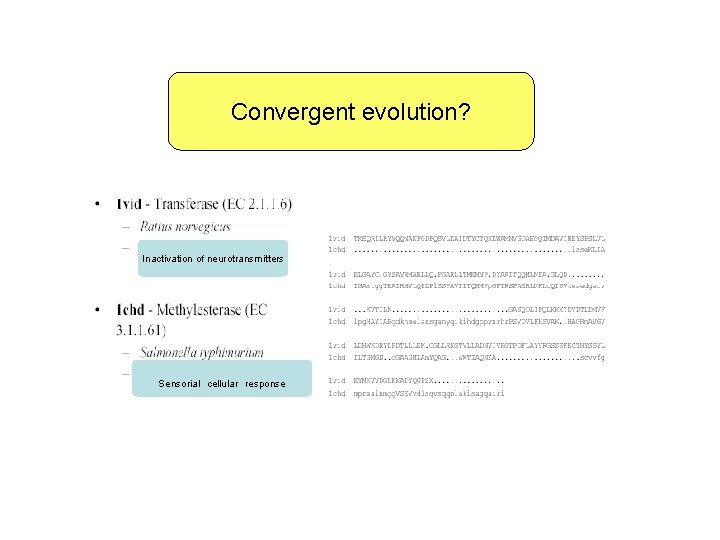 Convergent evolution? Inactivation of neurotransmitters Sensorial cellular response 