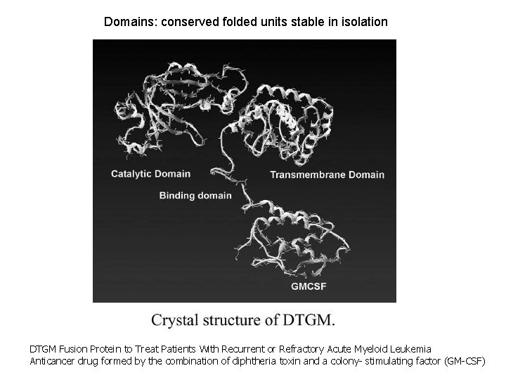 Domains: conserved folded units stable in isolation DTGM Fusion Protein to Treat Patients With