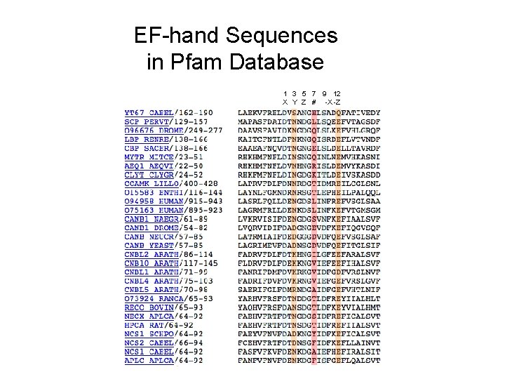 EF-hand Sequences in Pfam Database 1 3 5 7 9 12 X Y Z