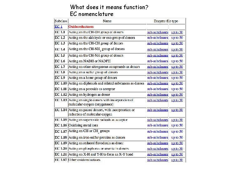 What does it means function? EC nomenclature 