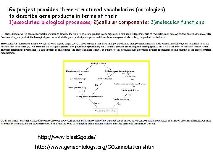 Go project provides three structured vocabularies (ontologies) to describe gene products in terms of