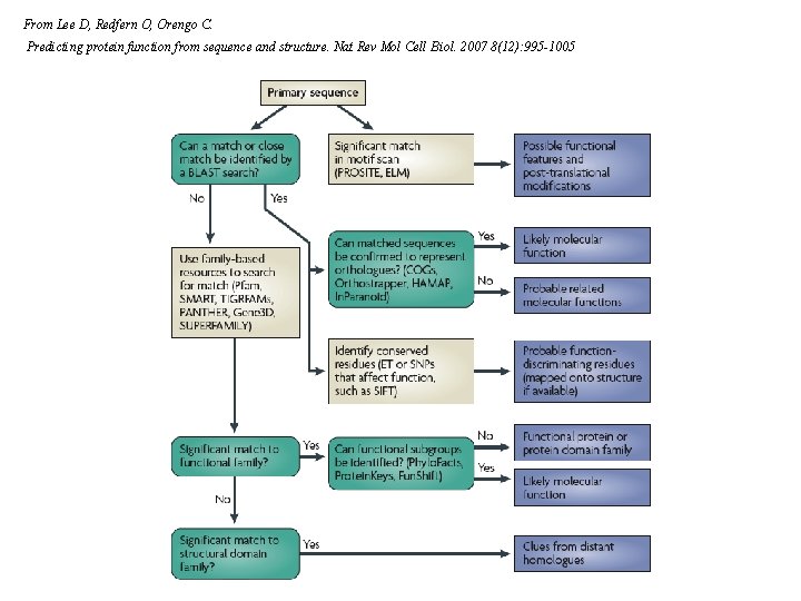 From Lee D, Redfern O, Orengo C. Predicting protein function from sequence and structure.