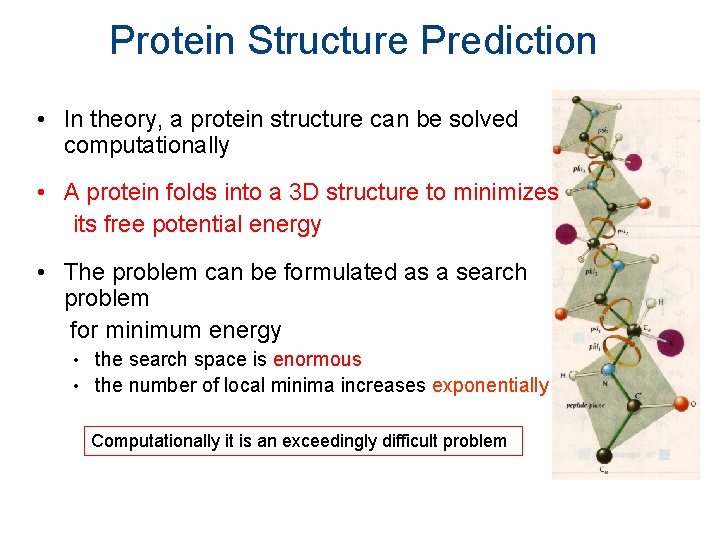 Protein Structure Prediction • In theory, a protein structure can be solved computationally •