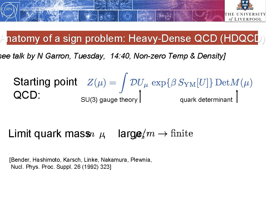 Anatomy of a sign problem: Heavy-Dense QCD (HDQCD) see talk by N Garron, Tuesday,