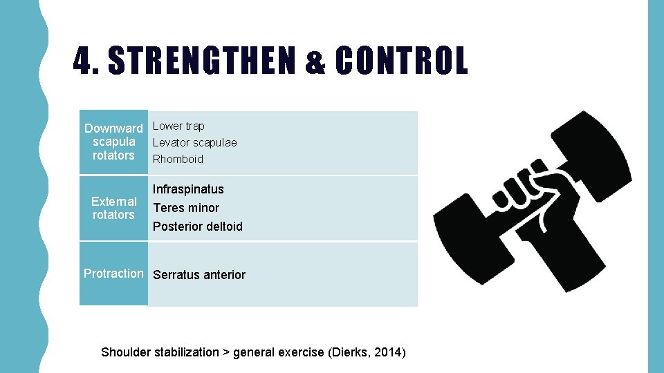 4. STRENGTHEN & CONTROL Downward Lower trap scapula Levator scapulae rotators Rhomboid External rotators