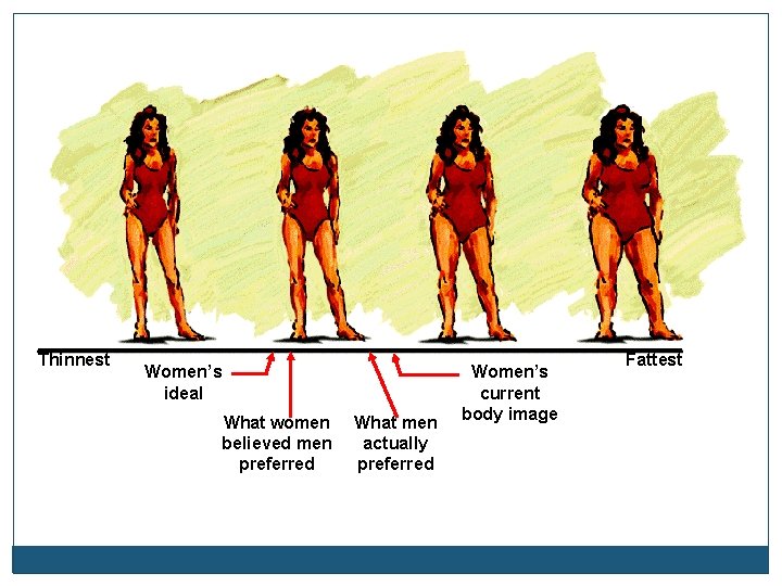 Thinnest Women’s ideal What women believed men preferred What men actually preferred Women’s current