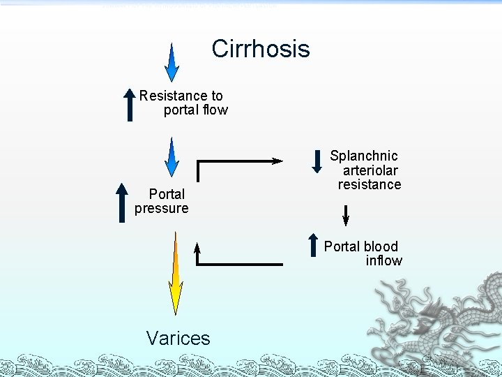 SUMMARY OF THE PATHOGENESIS OF PORTAL HYPERTENSION Cirrhosis Resistance to portal flow Portal pressure