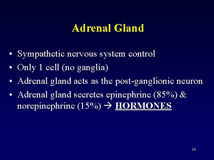 Adrenal Gland • • Sympathetic nervous system control Only 1 cell (no ganglia) Adrenal