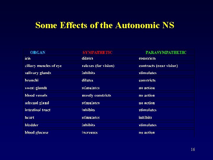 Some Effects of the Autonomic NS 16 
